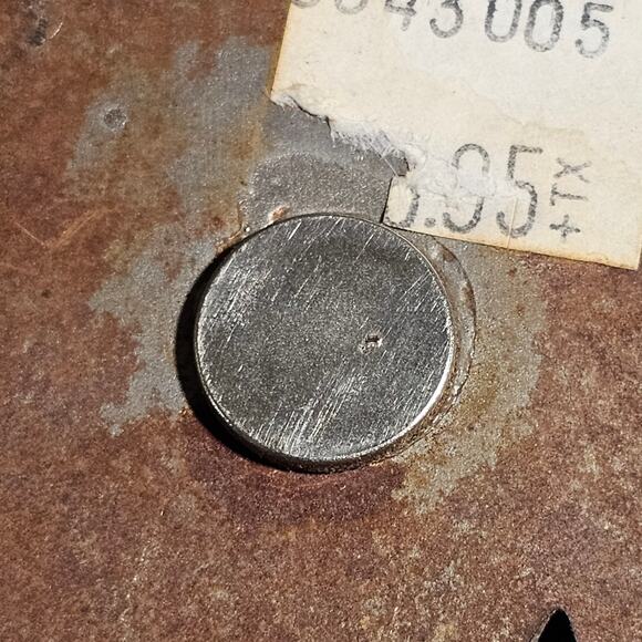 Decorative Magnets Bear Moose 5" Refrigerator Metal Rustic Wilderness Animal - Picture 8 of 9